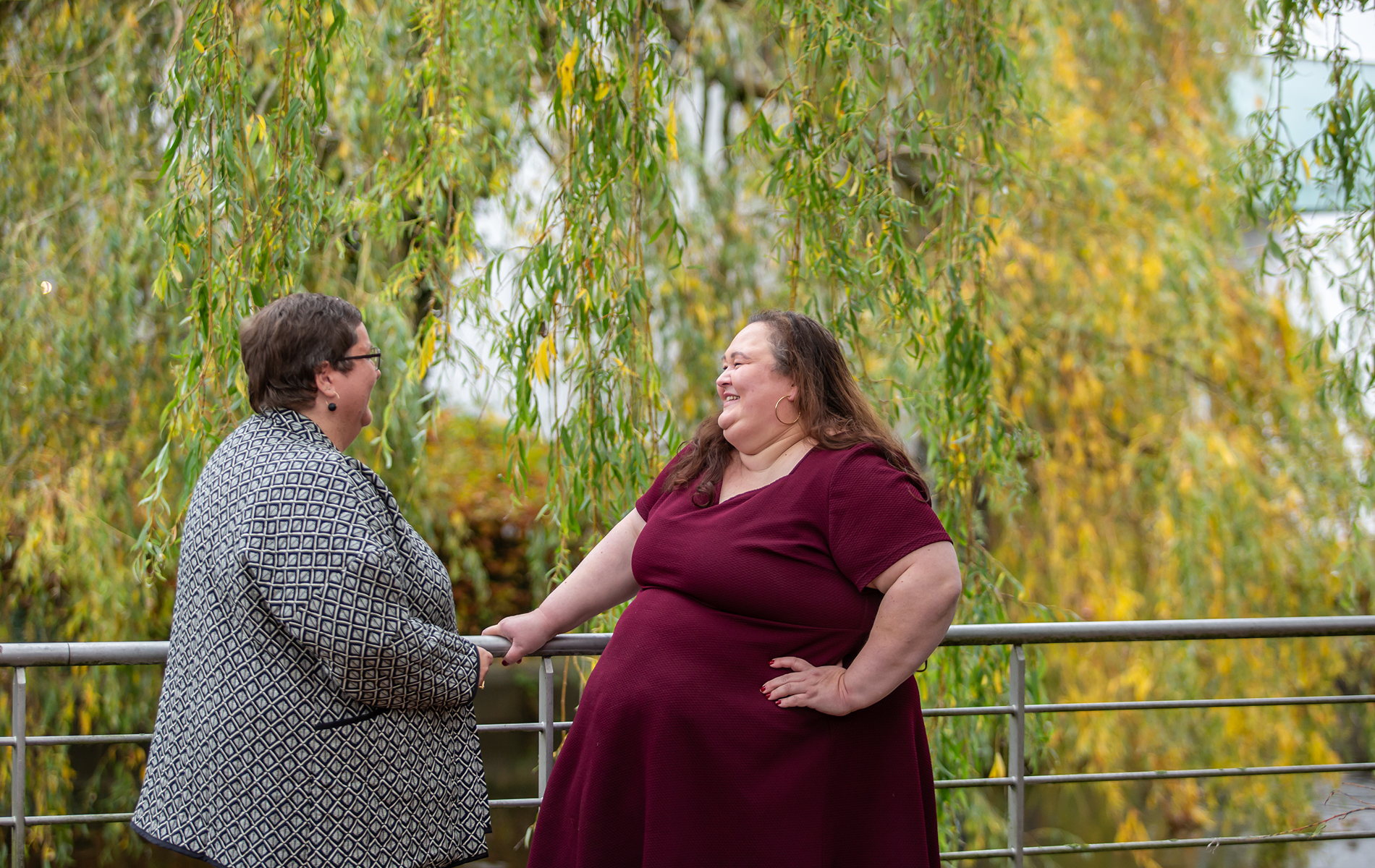 Preclinical and clinical obesity